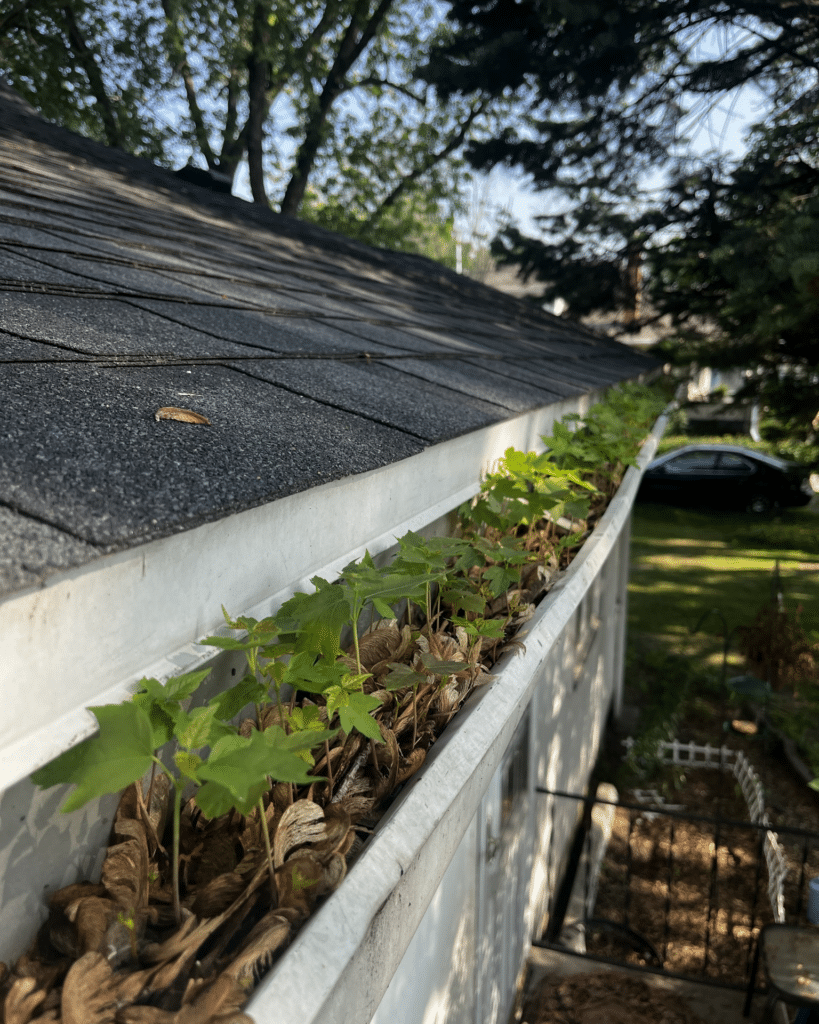 Gutter Cleaning In Shelton CT