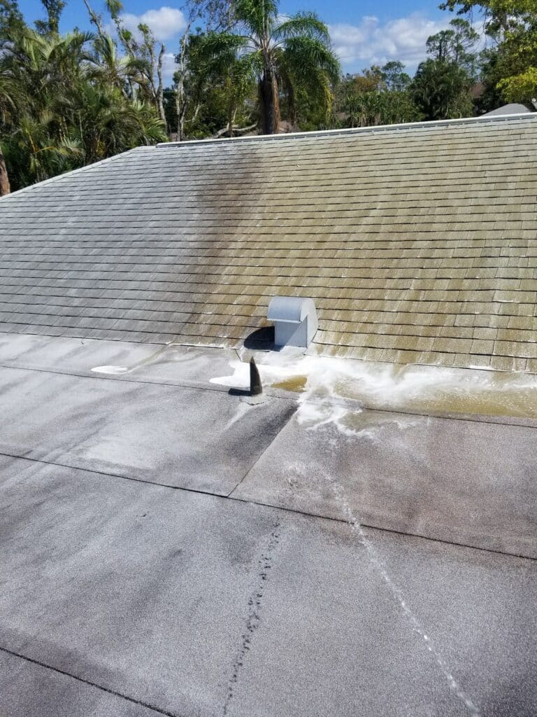 Asphalt Roof Cleaning