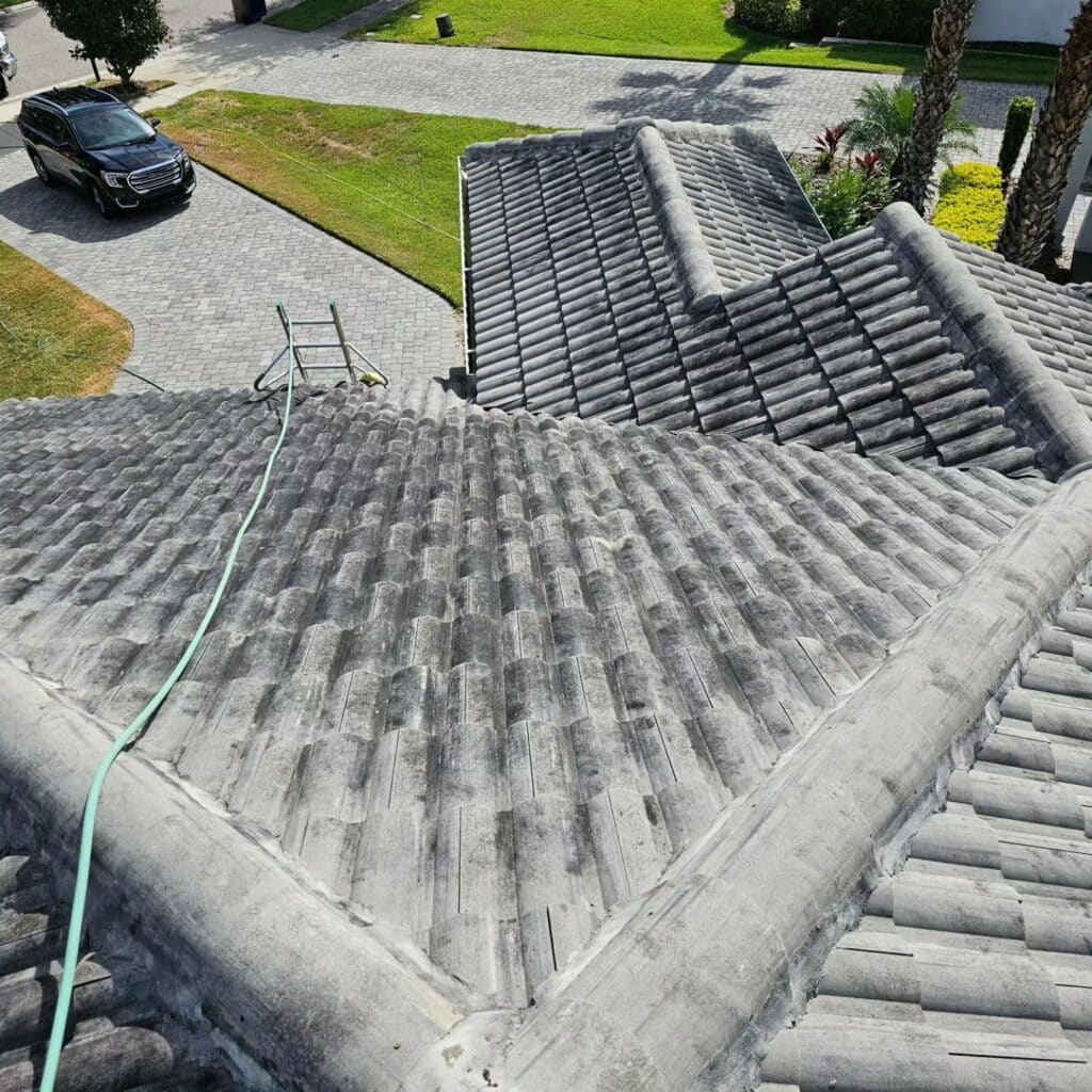 Cleaning Roof Services