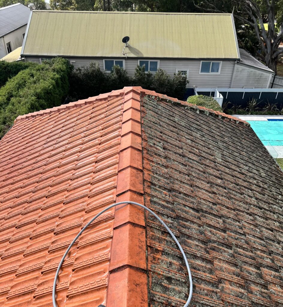 Residential Roof Washing