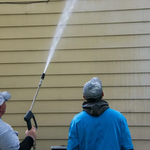 Expert Cleaning Team