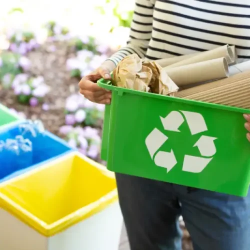Recycling Recycling bins